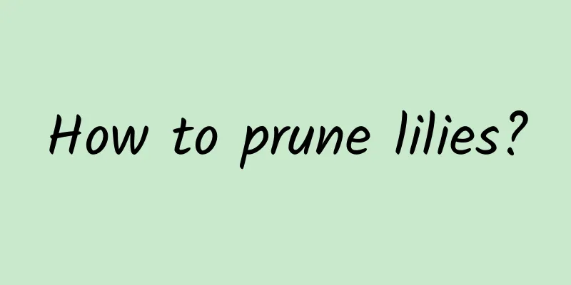 How to prune lilies?