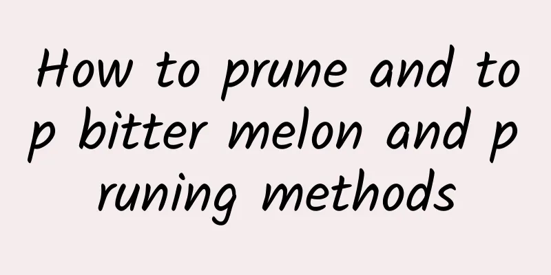 How to prune and top bitter melon and pruning methods