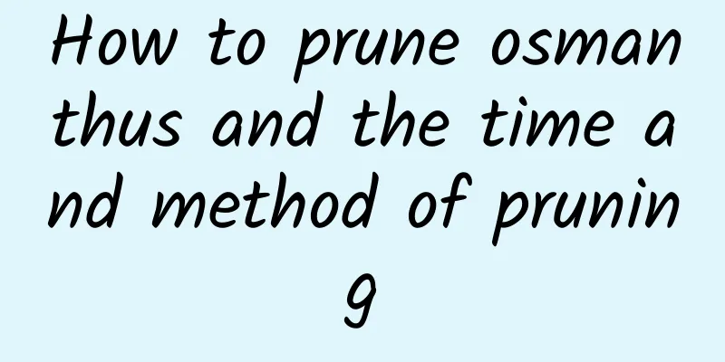 How to prune osmanthus and the time and method of pruning