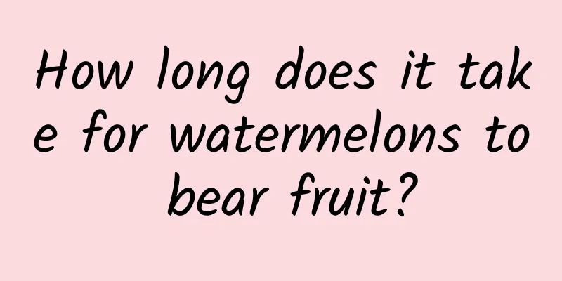 How long does it take for watermelons to bear fruit?