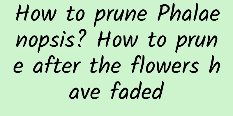How to prune Phalaenopsis? How to prune after the flowers have faded