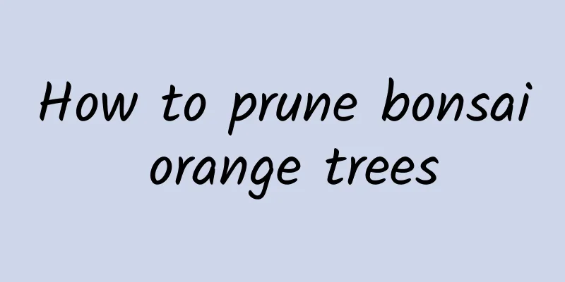 How to prune bonsai orange trees