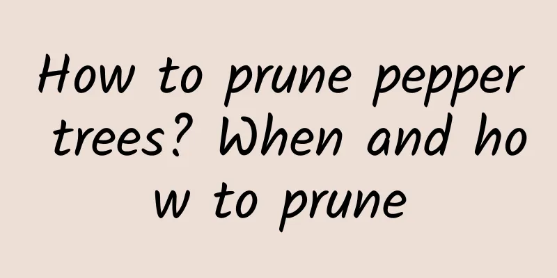 How to prune pepper trees? When and how to prune