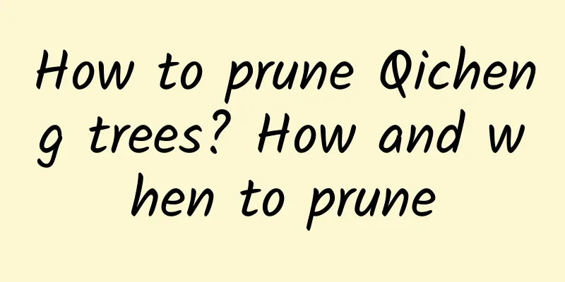 How to prune Qicheng trees? How and when to prune