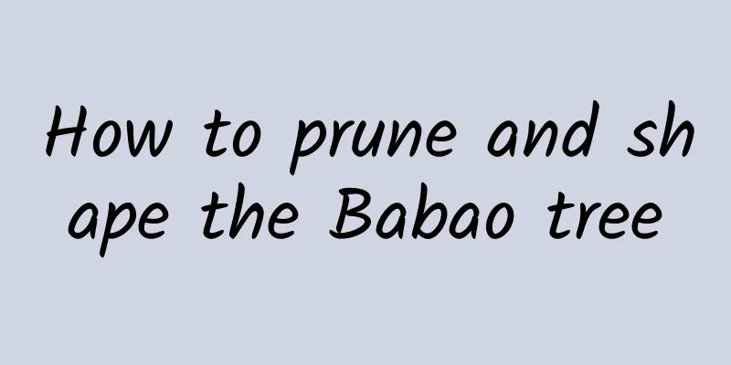 How to prune and shape the Babao tree