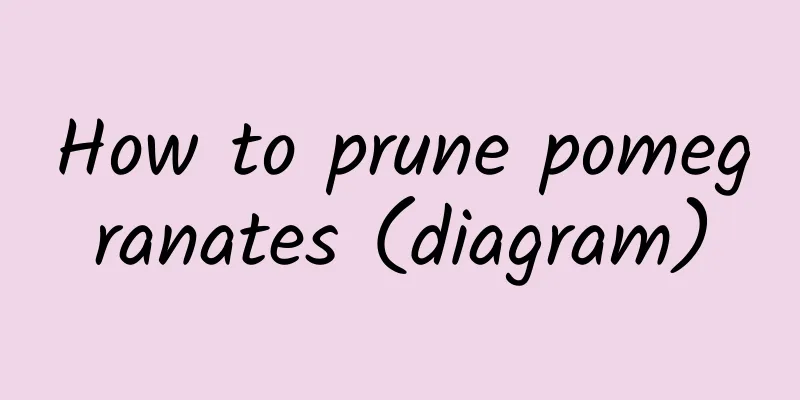 How to prune pomegranates (diagram)