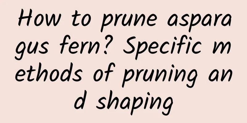 How to prune asparagus fern? Specific methods of pruning and shaping