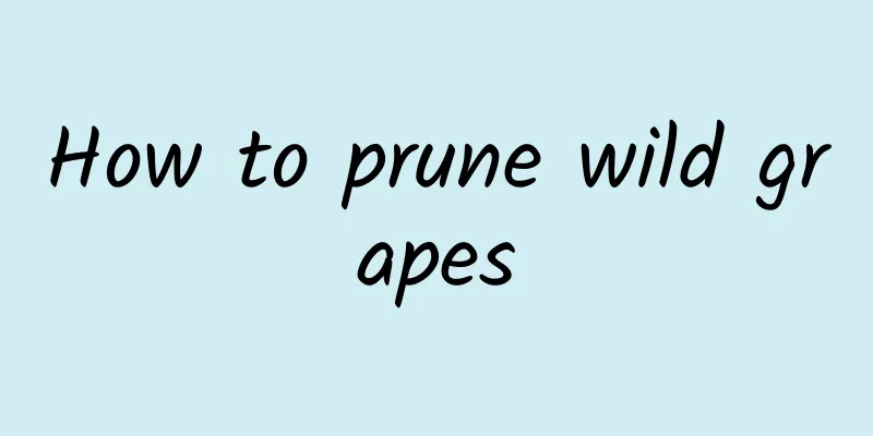 How to prune wild grapes