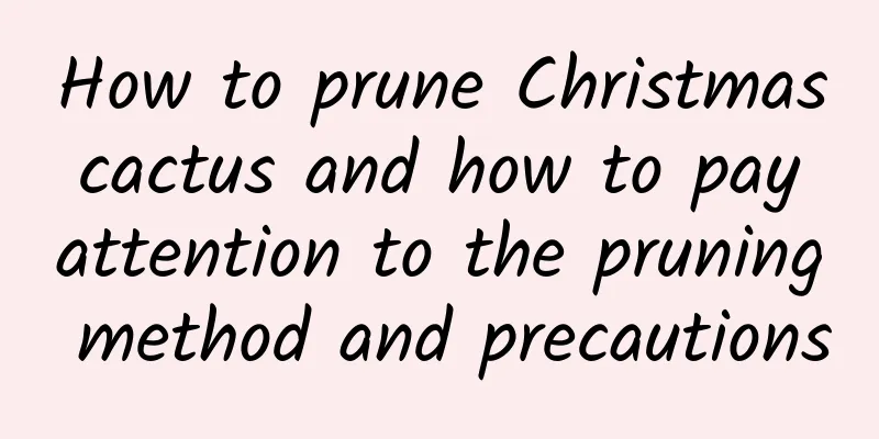 How to prune Christmas cactus and how to pay attention to the pruning method and precautions