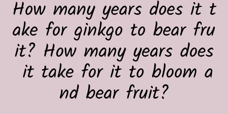 How many years does it take for ginkgo to bear fruit? How many years does it take for it to bloom and bear fruit?