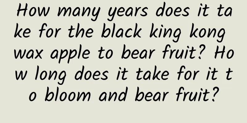 How many years does it take for the black king kong wax apple to bear fruit? How long does it take for it to bloom and bear fruit?
