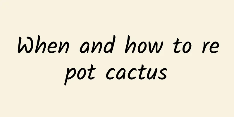 When and how to repot cactus