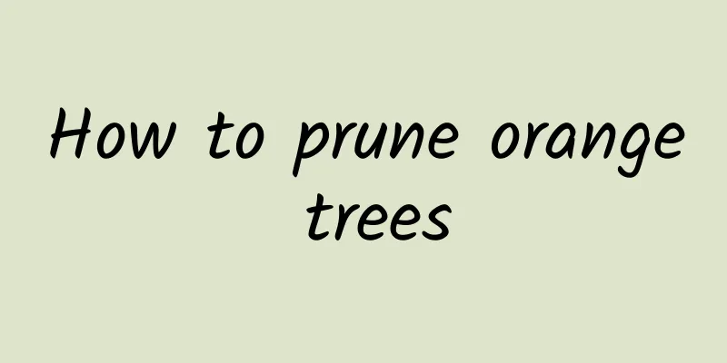 How to prune orange trees