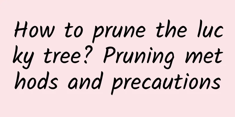 How to prune the lucky tree? Pruning methods and precautions