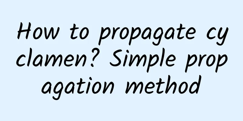 How to propagate cyclamen? Simple propagation method