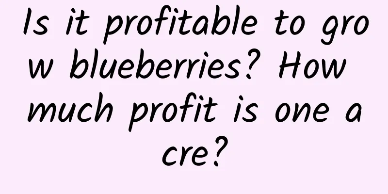 Is it profitable to grow blueberries? How much profit is one acre?