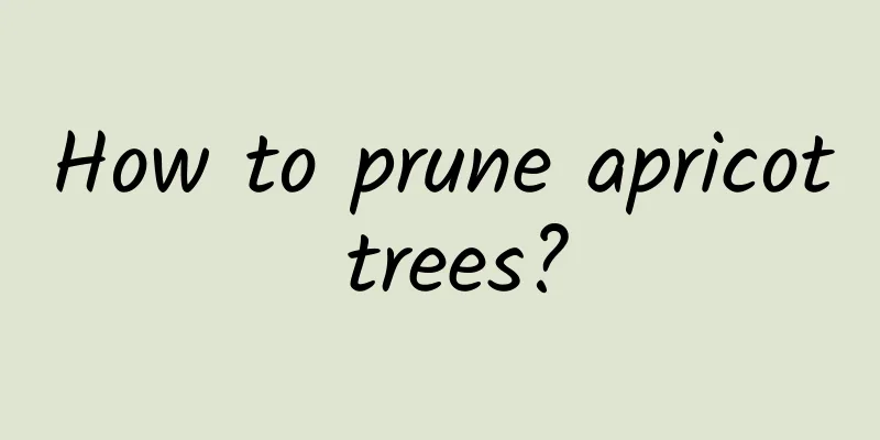 How to prune apricot trees?