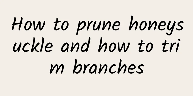 How to prune honeysuckle and how to trim branches