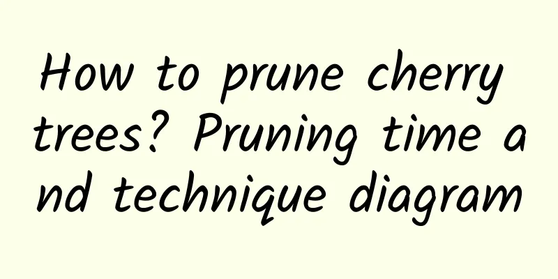 How to prune cherry trees? Pruning time and technique diagram