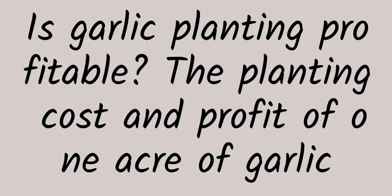 Is garlic planting profitable? The planting cost and profit of one acre of garlic