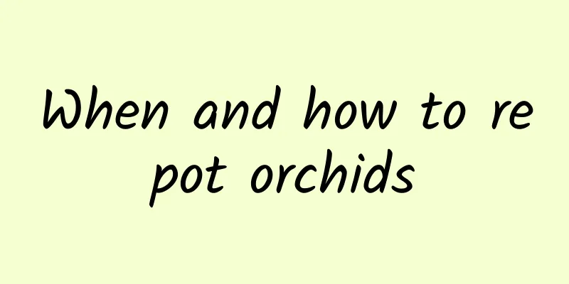 When and how to repot orchids