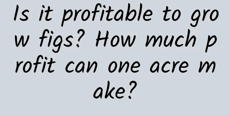 Is it profitable to grow figs? How much profit can one acre make?