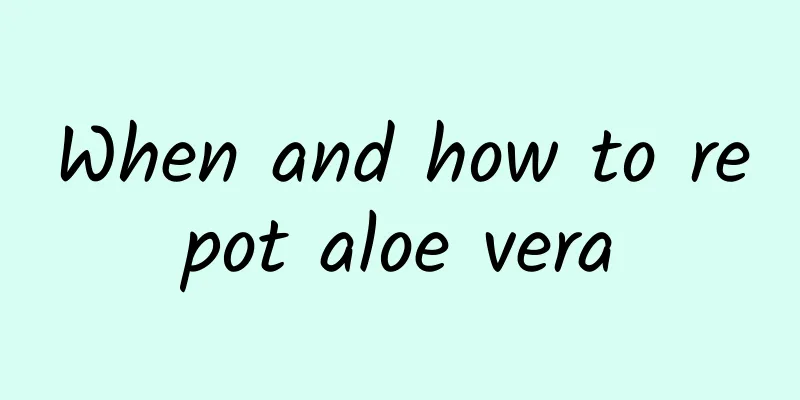 When and how to repot aloe vera