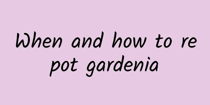 When and how to repot gardenia