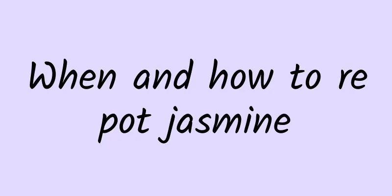 When and how to repot jasmine