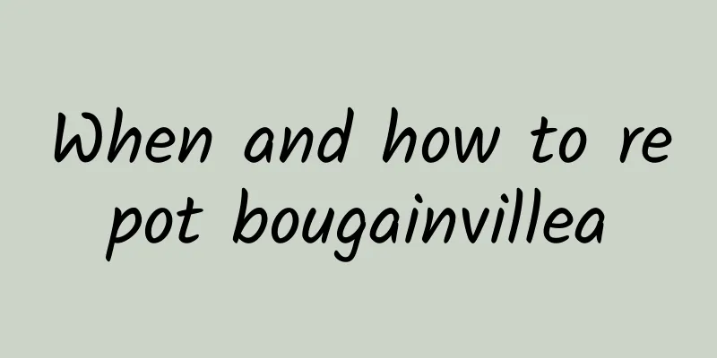 When and how to repot bougainvillea