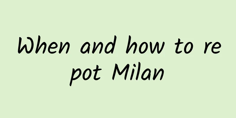 When and how to repot Milan
