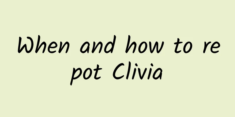 When and how to repot Clivia