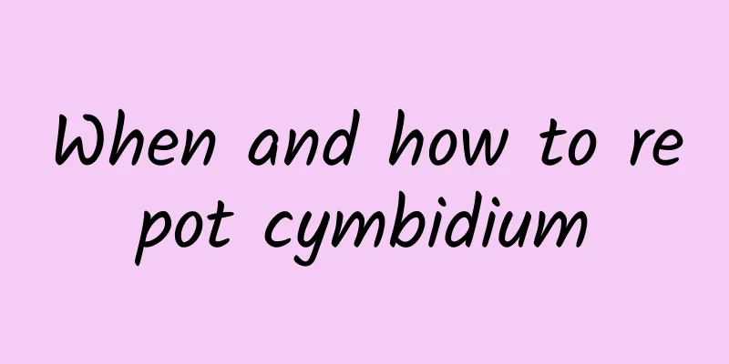 When and how to repot cymbidium