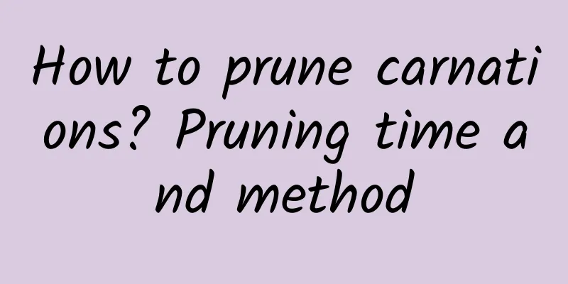 How to prune carnations? Pruning time and method