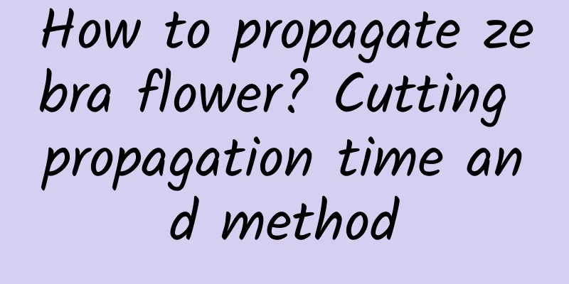 How to propagate zebra flower? Cutting propagation time and method