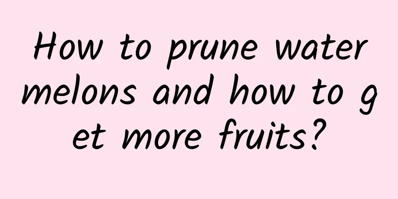 How to prune watermelons and how to get more fruits?