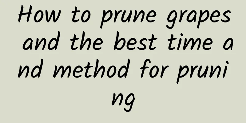 How to prune grapes and the best time and method for pruning