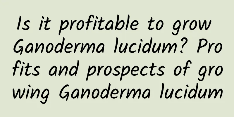 Is it profitable to grow Ganoderma lucidum? Profits and prospects of growing Ganoderma lucidum