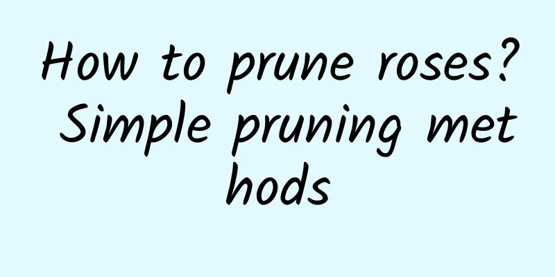How to prune roses? Simple pruning methods