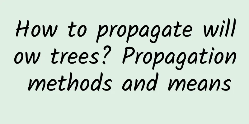 How to propagate willow trees? Propagation methods and means