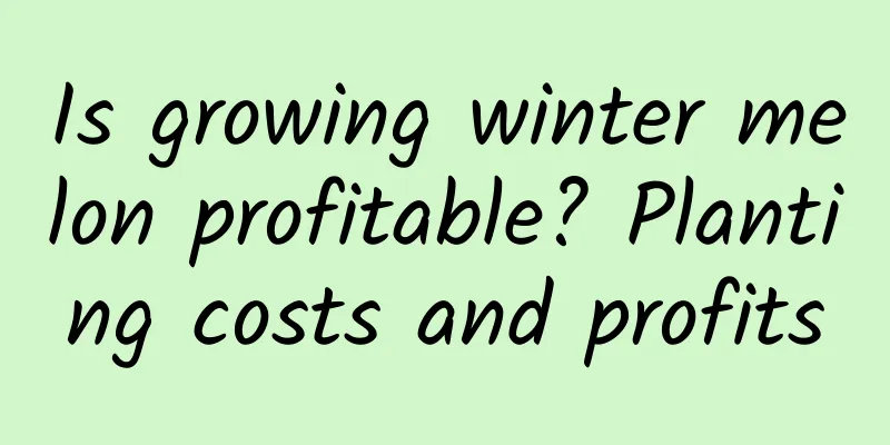 Is growing winter melon profitable? Planting costs and profits