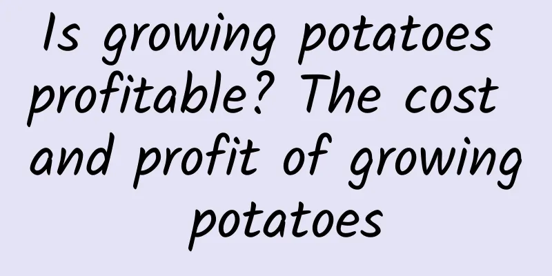 Is growing potatoes profitable? The cost and profit of growing potatoes