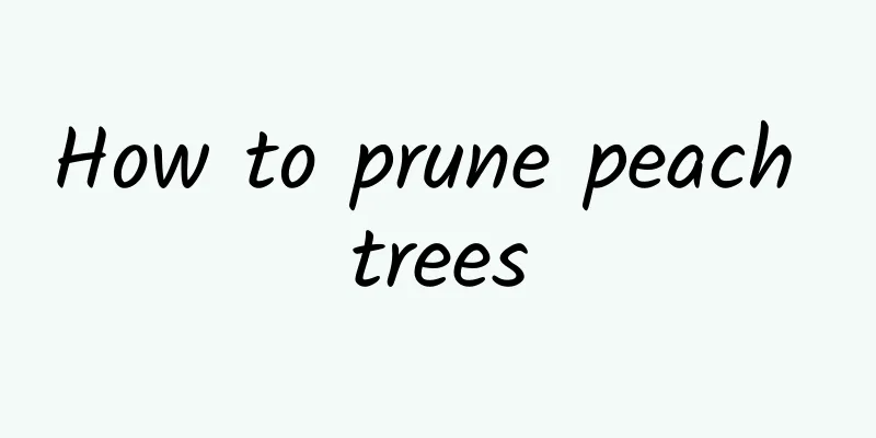 How to prune peach trees