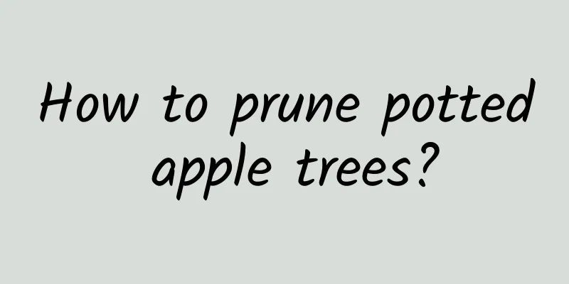 How to prune potted apple trees?