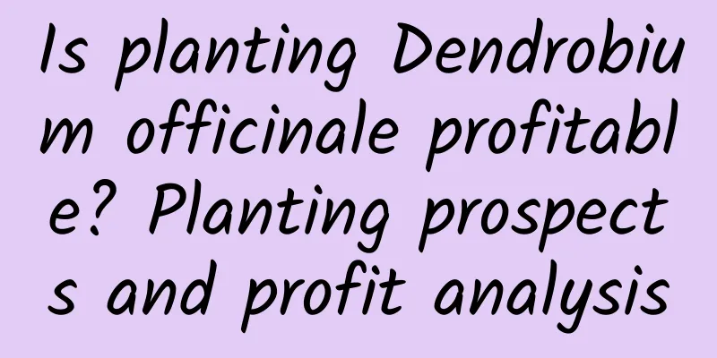Is planting Dendrobium officinale profitable? Planting prospects and profit analysis