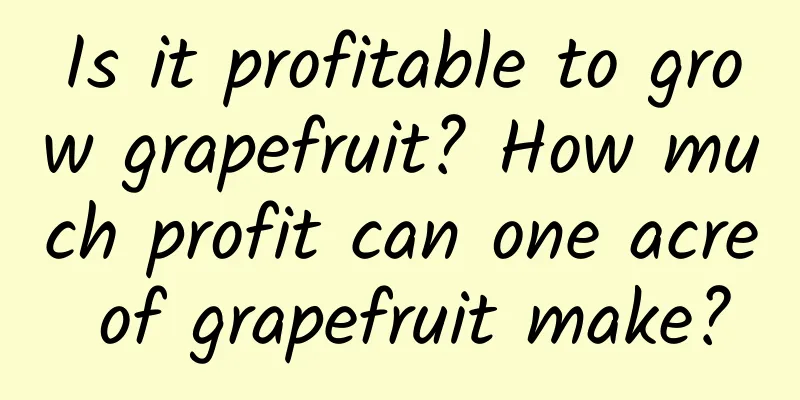Is it profitable to grow grapefruit? How much profit can one acre of grapefruit make?