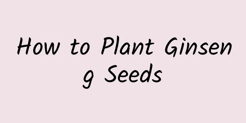 How to Plant Ginseng Seeds