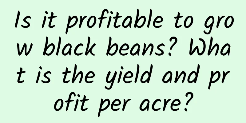 Is it profitable to grow black beans? What is the yield and profit per acre?