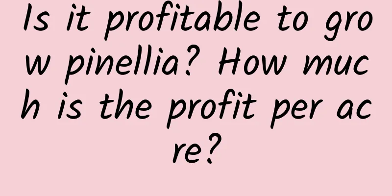 Is it profitable to grow pinellia? How much is the profit per acre?