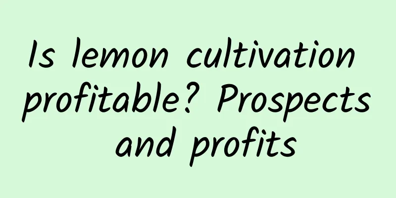Is lemon cultivation profitable? Prospects and profits